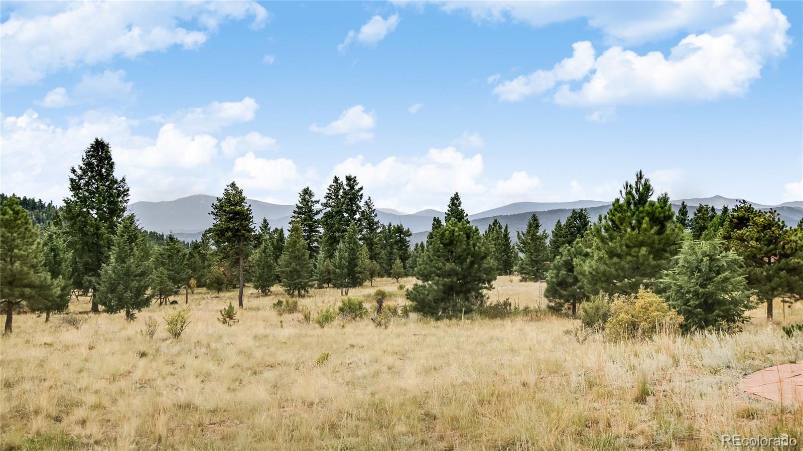 1343 Tapadero Road Bailey, CO 80421 - Photo 4 of 32