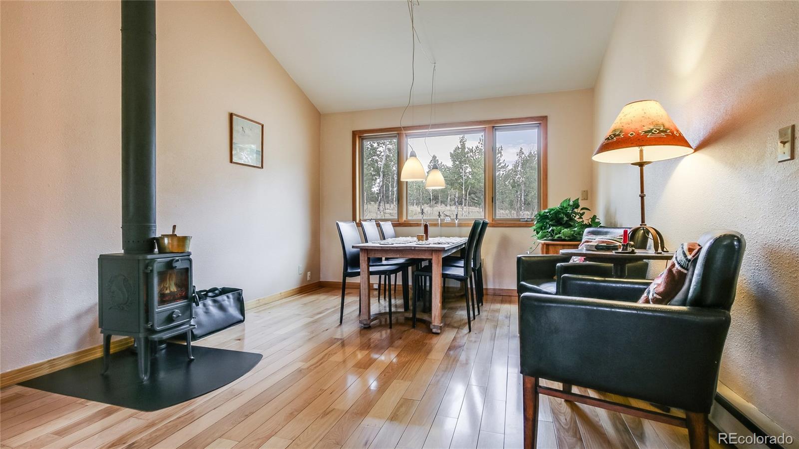 1343 Tapadero Road Bailey, CO 80421 - Photo 8 of 32