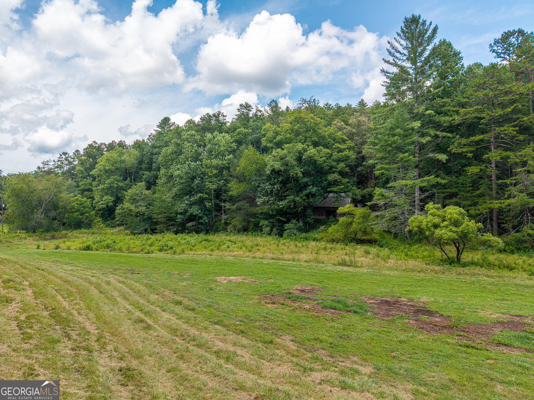 0 White Pine Road McCaysville, GA 30555 - Photo 24 of 32 Gallery Image 24