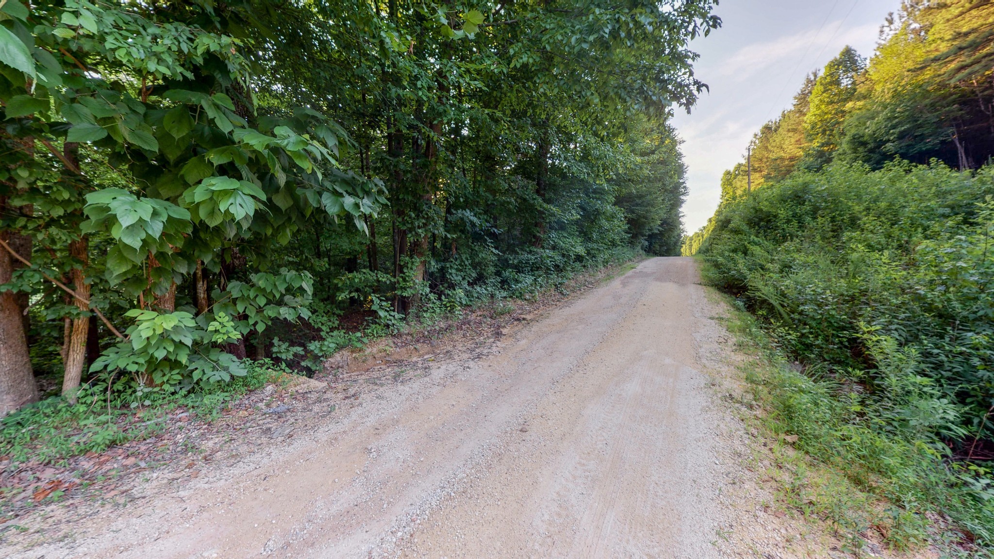 7587 Todd Road Westpoint, TN 38486 - Photo 1 of 16 a view of a dirt pathway both side of green trees
