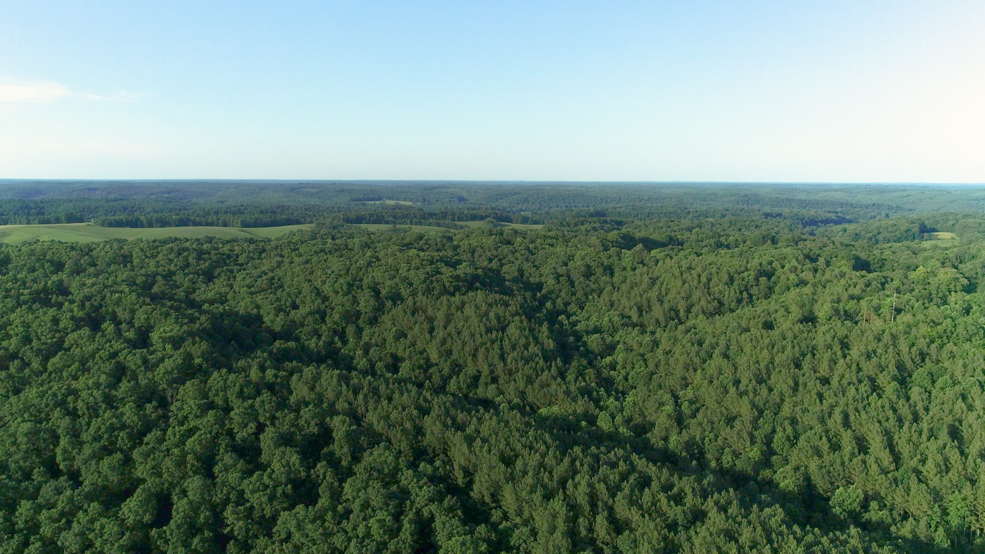 7587 Todd Road Westpoint, TN 38486 - Photo 16 of 16 with view of a field