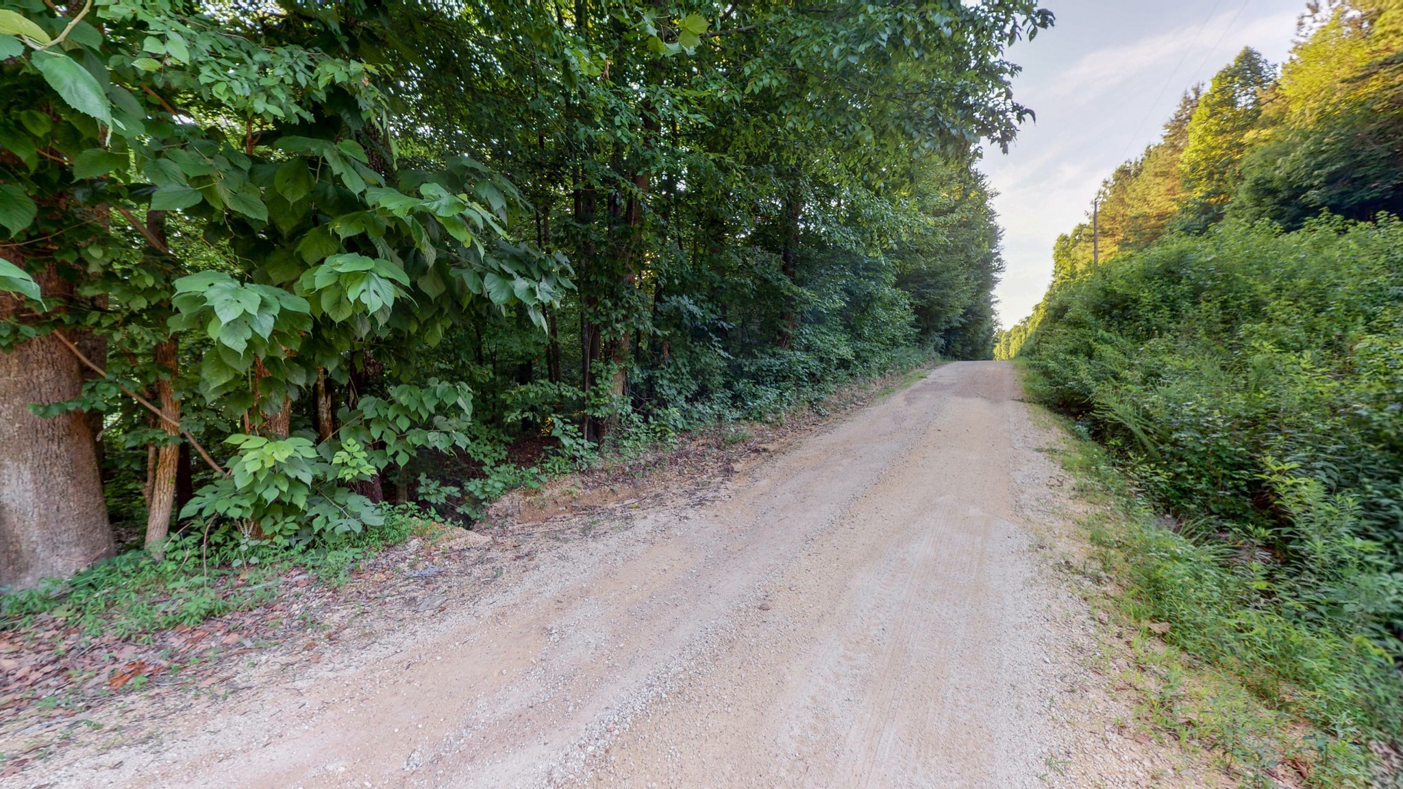 7587 Todd Road Westpoint, TN 38486 - Photo 3 of 16 a view of a dirt pathway both side of green trees