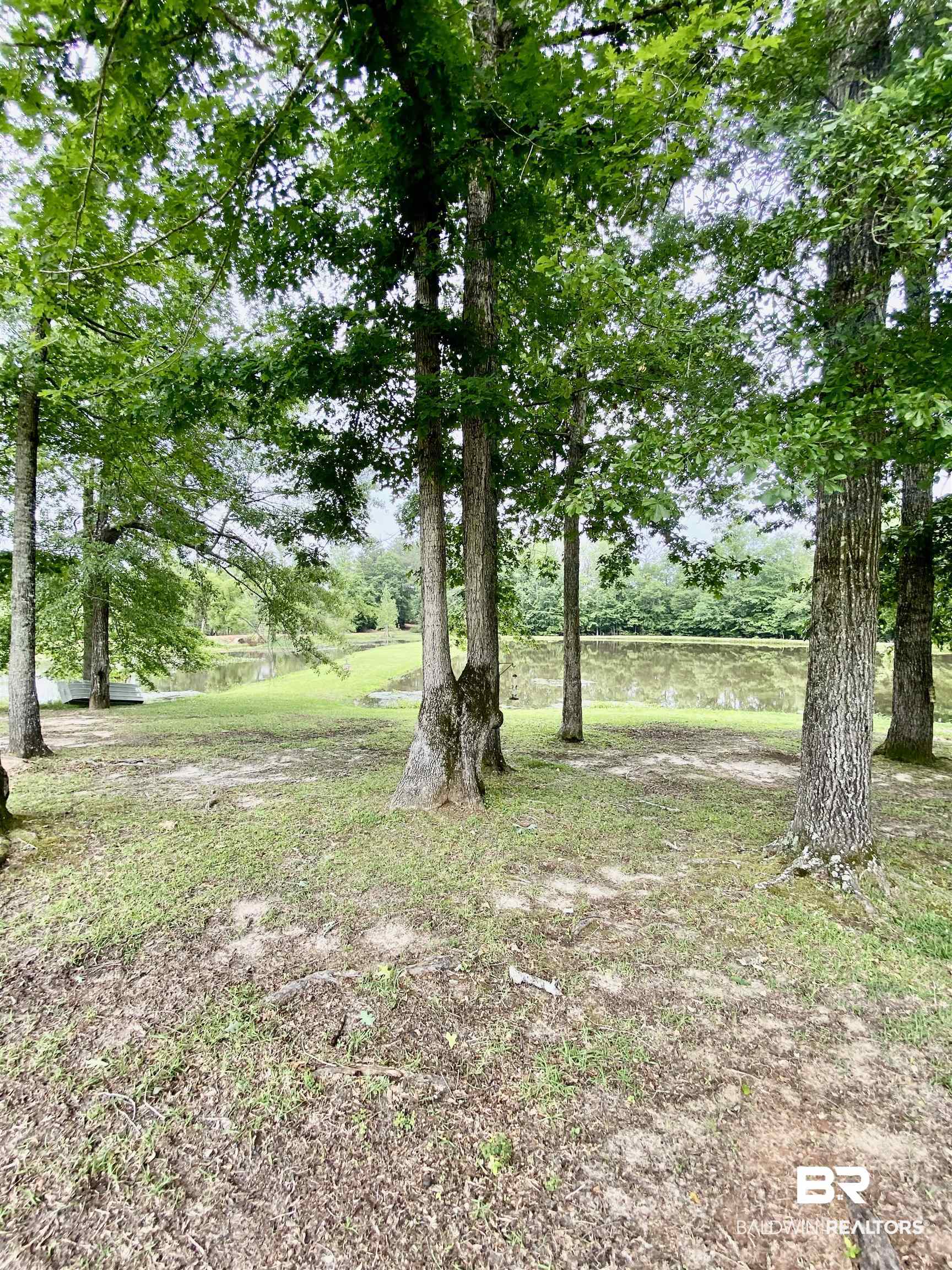 261 Lake Drive Evergreen, AL 36401 - Photo 46 of 46