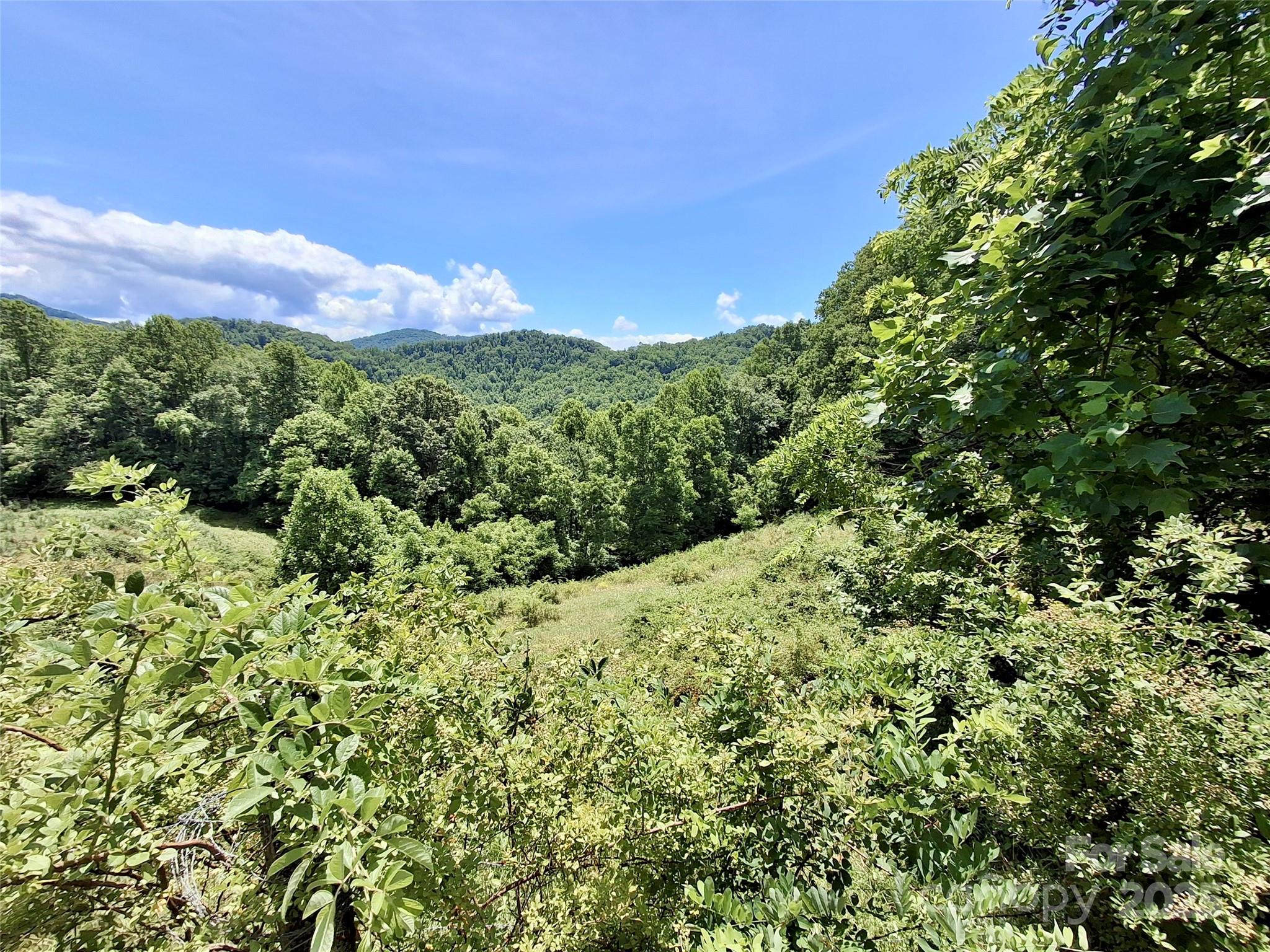 2087 Henry Road Sylva, NC 28779 - Photo 24 of 36