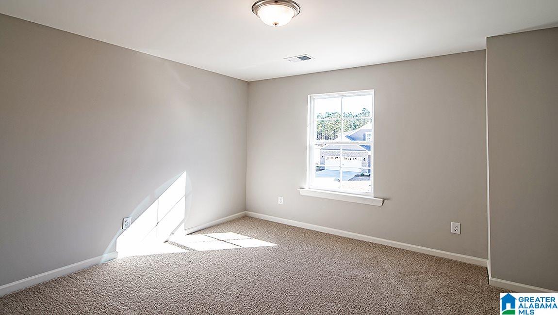 12817 Tannery Lane McCalla, AL 35111 - Photo 18 of 22
