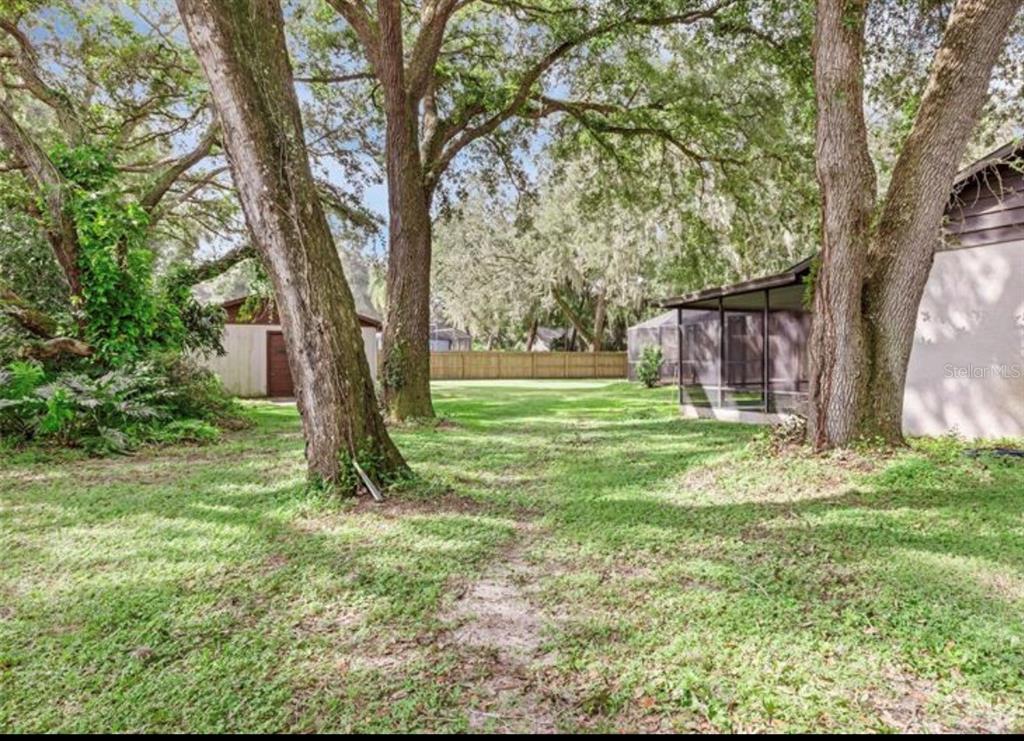 4308 Allen Road Fruitland Park, FL 34731 - Photo 30 of 33 a view of a house with backyard and a tree