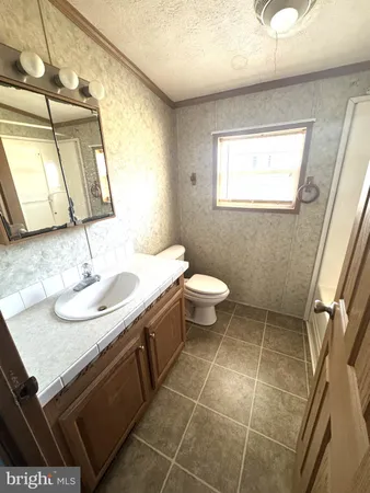 a bathroom with a sink a toilet and mirror