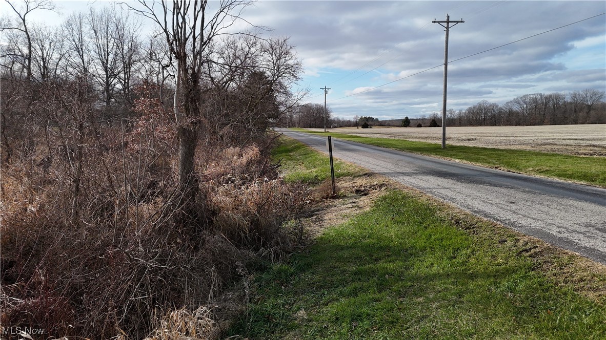 Jones Road Wellington, OH 44090 - Photo 9 of 18 View of street with a view of rural / pastoral area