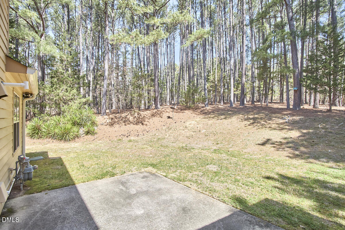 9 Cabes Mill Road Durham, NC 27705 - Photo 33 of 37 013