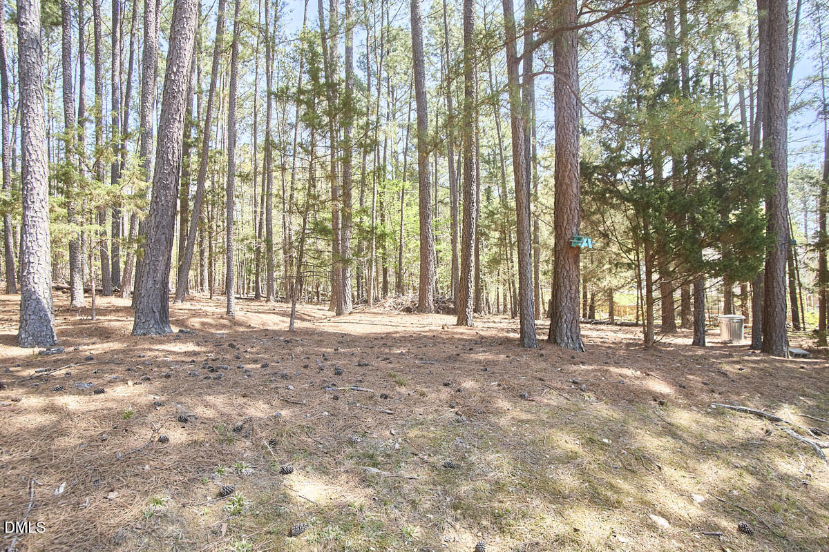 9 Cabes Mill Road Durham, NC 27705 - Photo 37 of 37 009