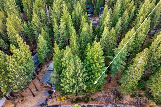 a view of a garden with plants