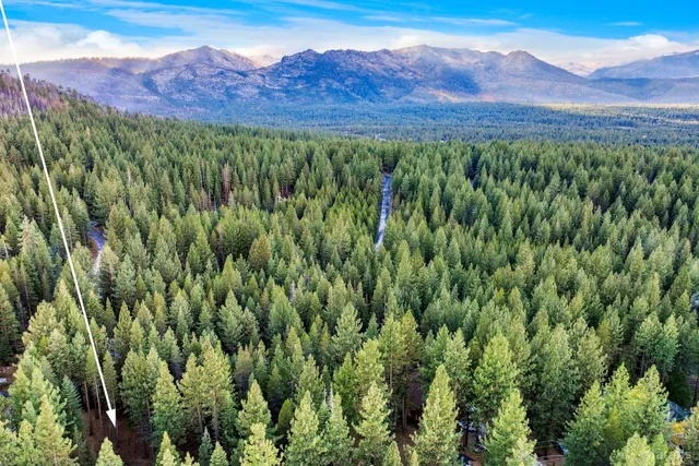 a view of a lush green hillside and a houses