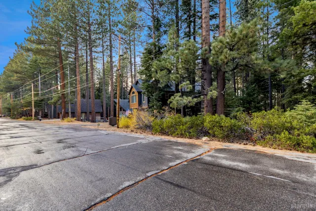 a view of a park with trees