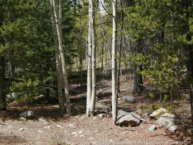 346 Pcr 665 Road Fairplay, CO 80440 - Photo 23 of 25 Land.