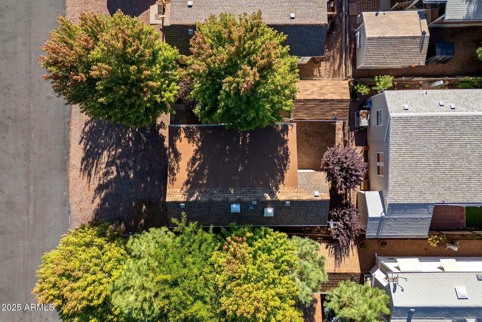 2209 Old Crooks Trail Overgaard, AZ 85933 - Photo 23 of 38 front view of a house with a tree