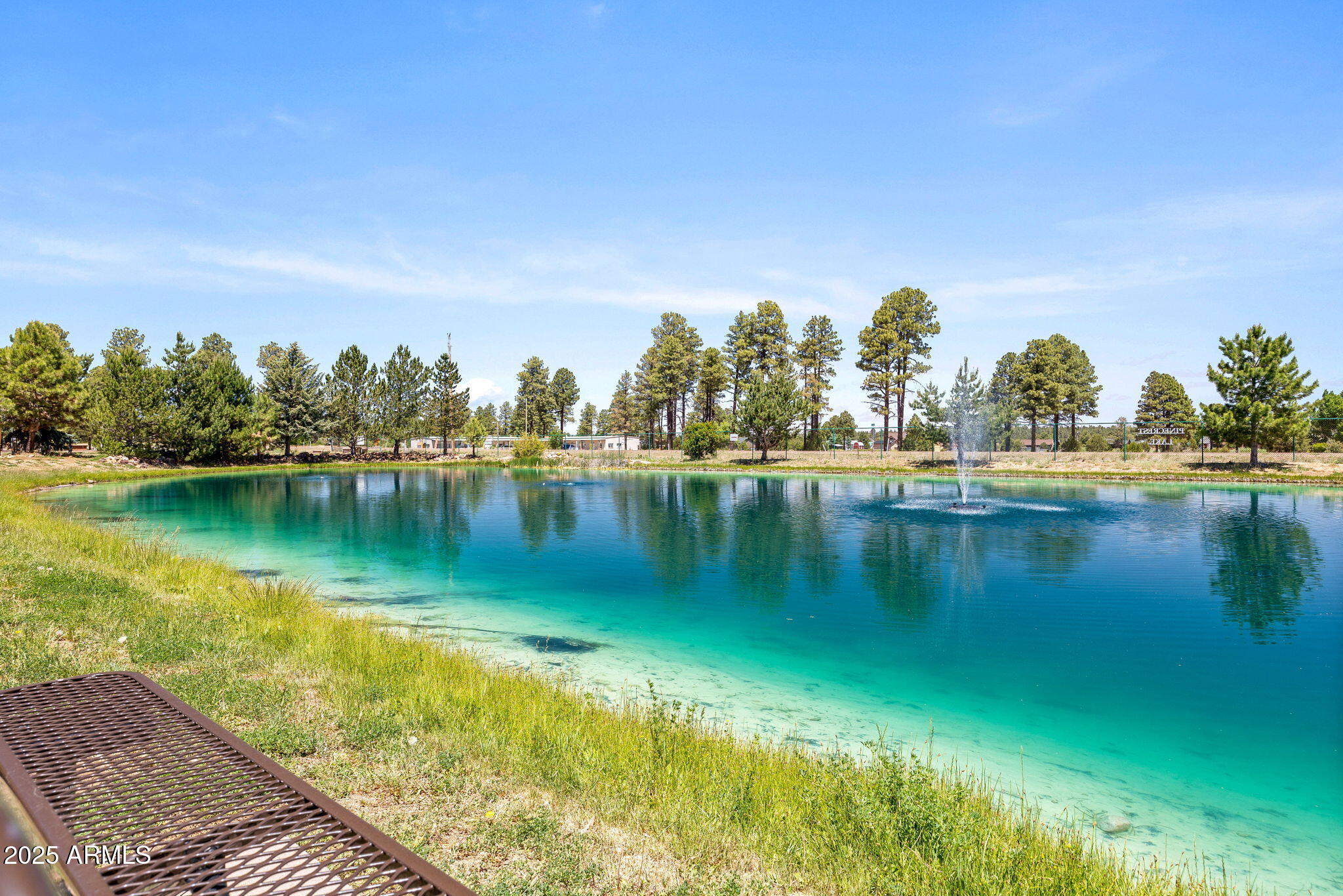 2209 Old Crooks Trail Overgaard, AZ 85933 - Photo 30 of 38 a view of a lake with houses in the back