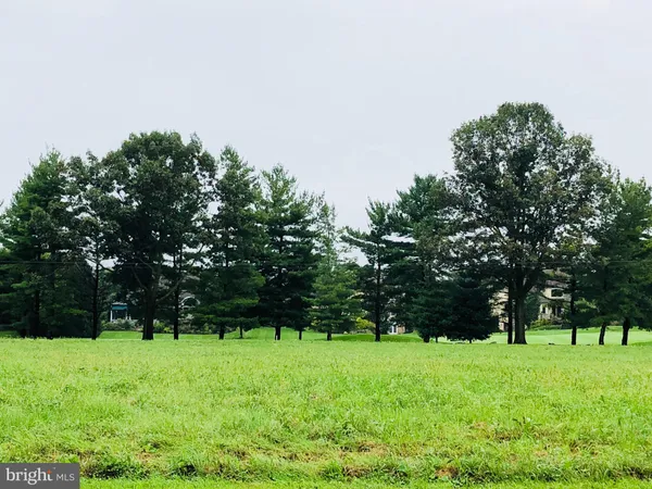 a green field with lots of trees in it