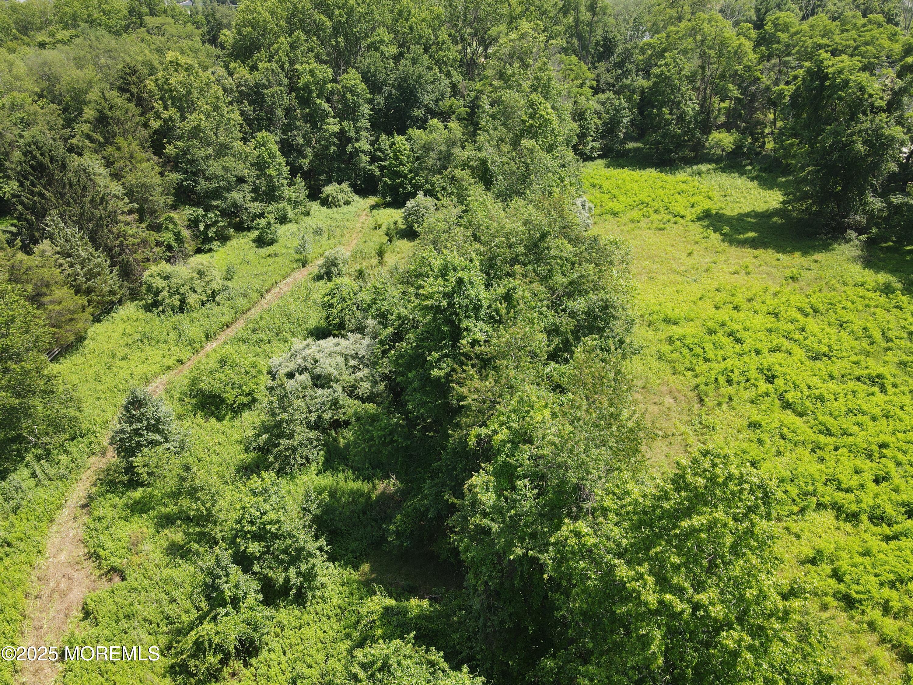 15 Hominy Hill Road Colts Neck, NJ 07722 - Photo 5 of 10 DJI_0842
