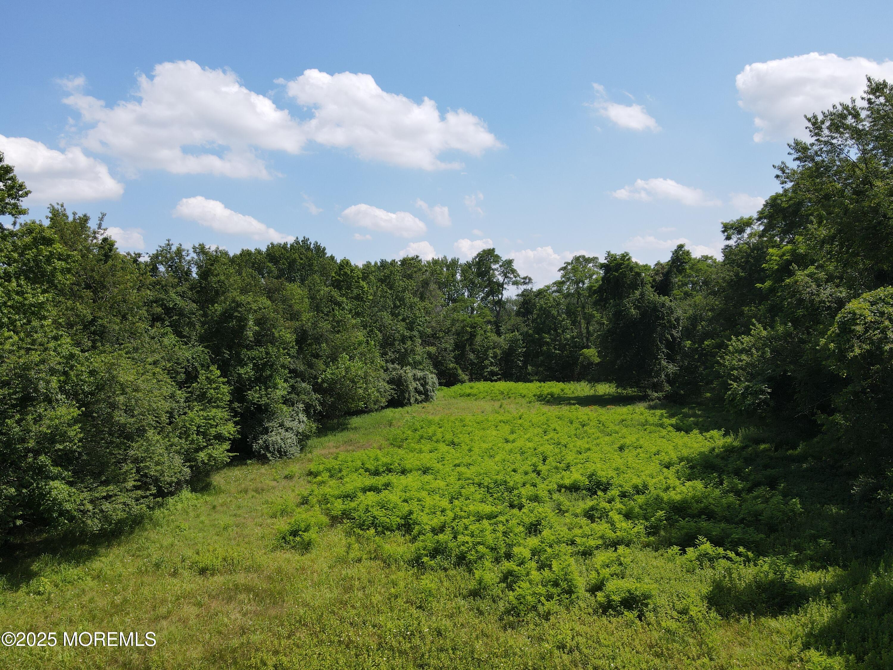 15 Hominy Hill Road Colts Neck, NJ 07722 - Photo 6 of 10 DJI_0841