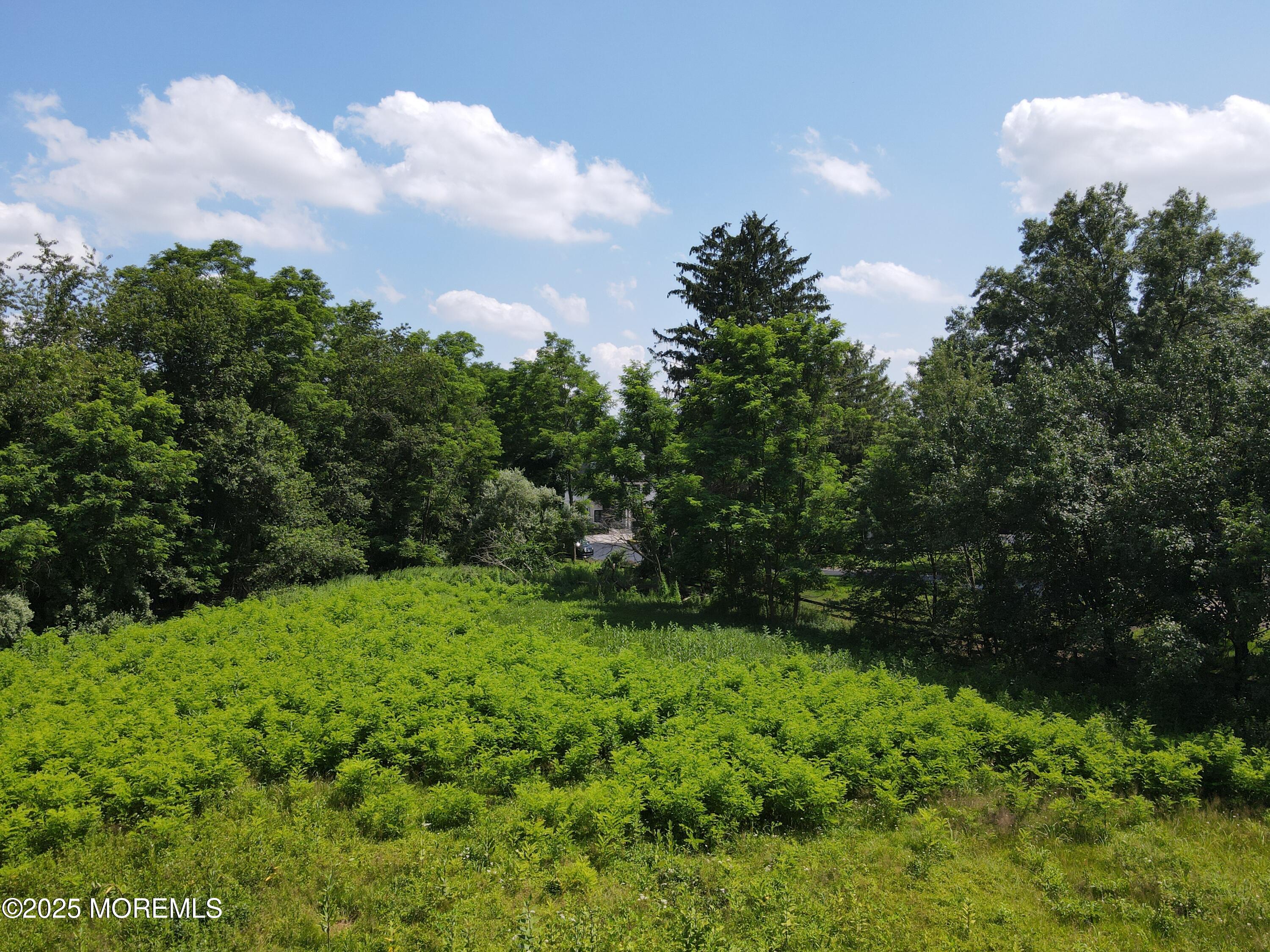 15 Hominy Hill Road Colts Neck, NJ 07722 - Photo 7 of 10 DJI_0839