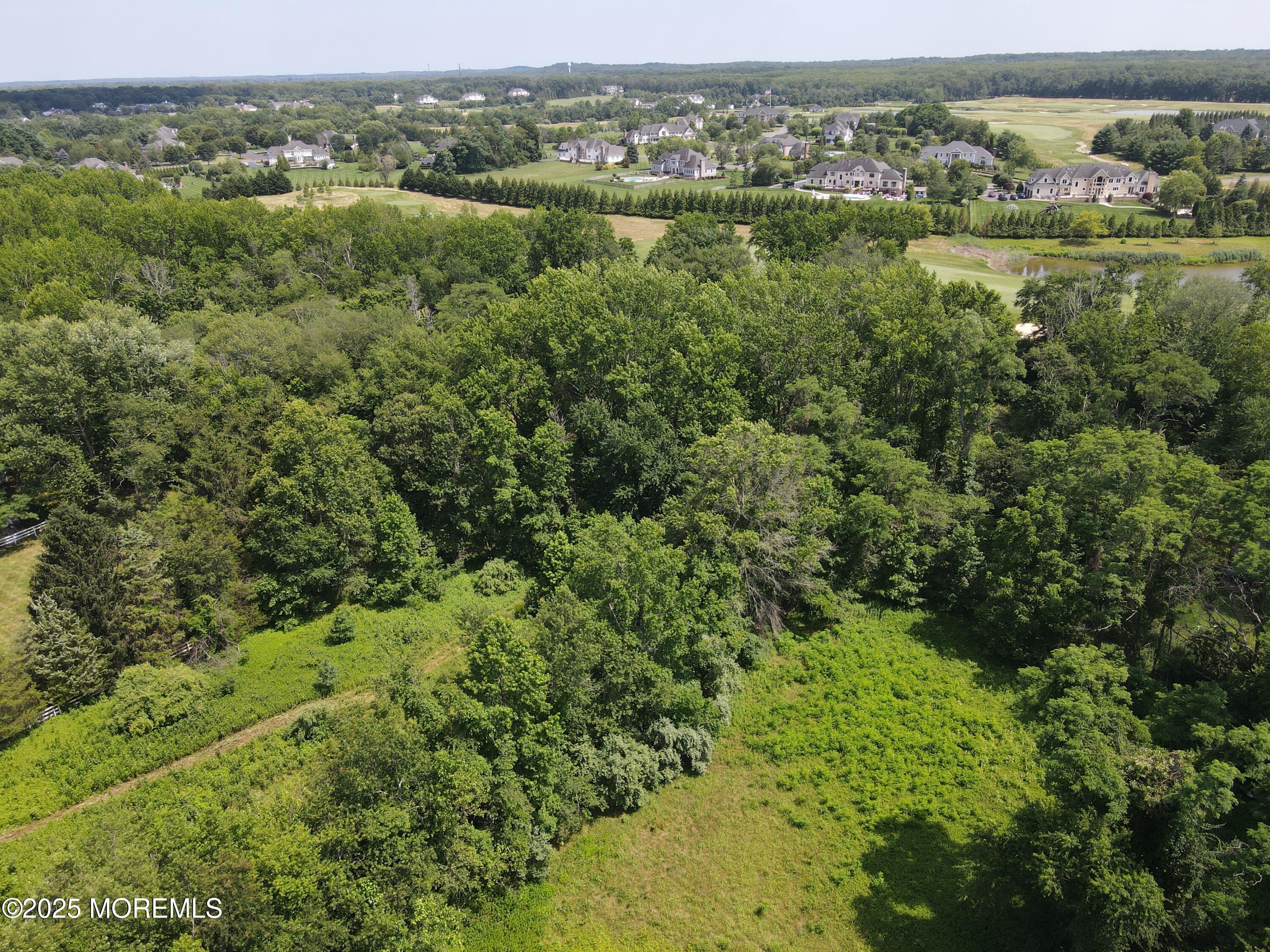 15 Hominy Hill Road Colts Neck, NJ 07722 - Photo 9 of 10 DJI_0837