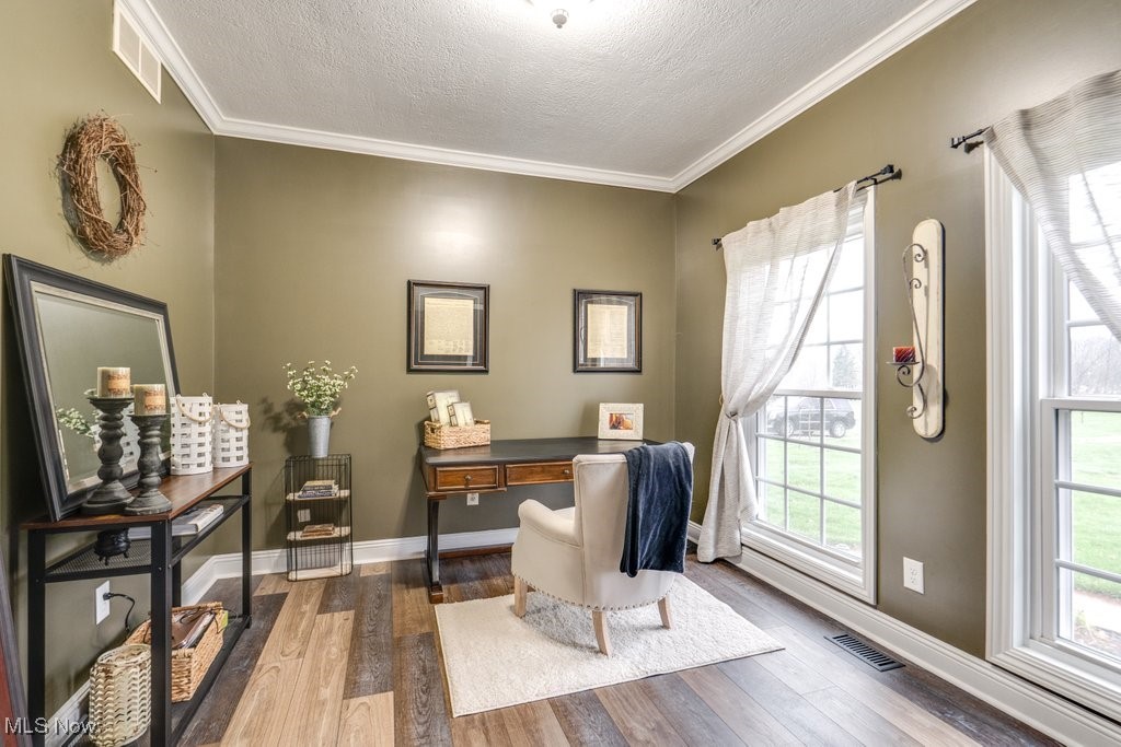 4121 New Milford Road Rootstown, OH 44272 - Photo 23 of 50 Home office featuring plenty of natural light, dark wood-style floors, a textured ceiling, and visible vents
