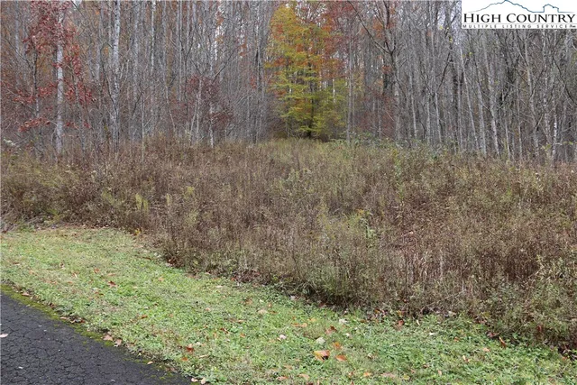 a view of a dry yard with trees