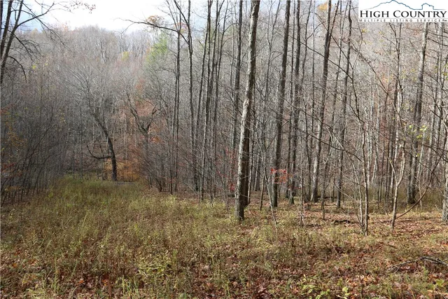 a view of bath room with trees