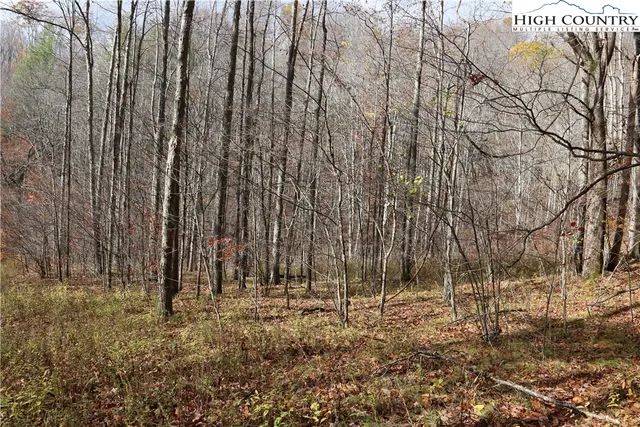 a view of outdoor space with lots of trees