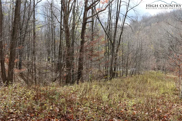 a view of a yard with trees in the background