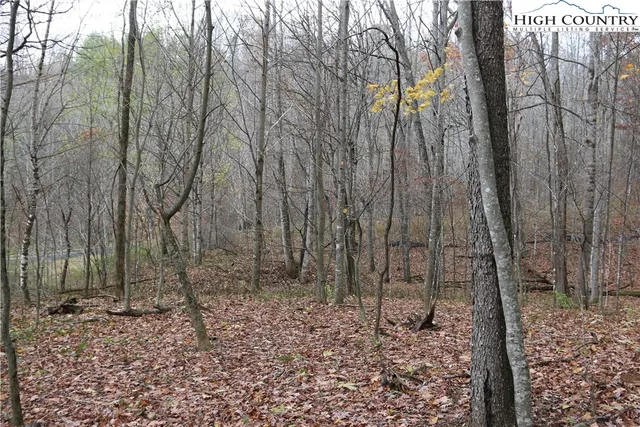 a backyard of a house with lots of trees