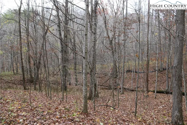 a view of a yard with trees in front of it