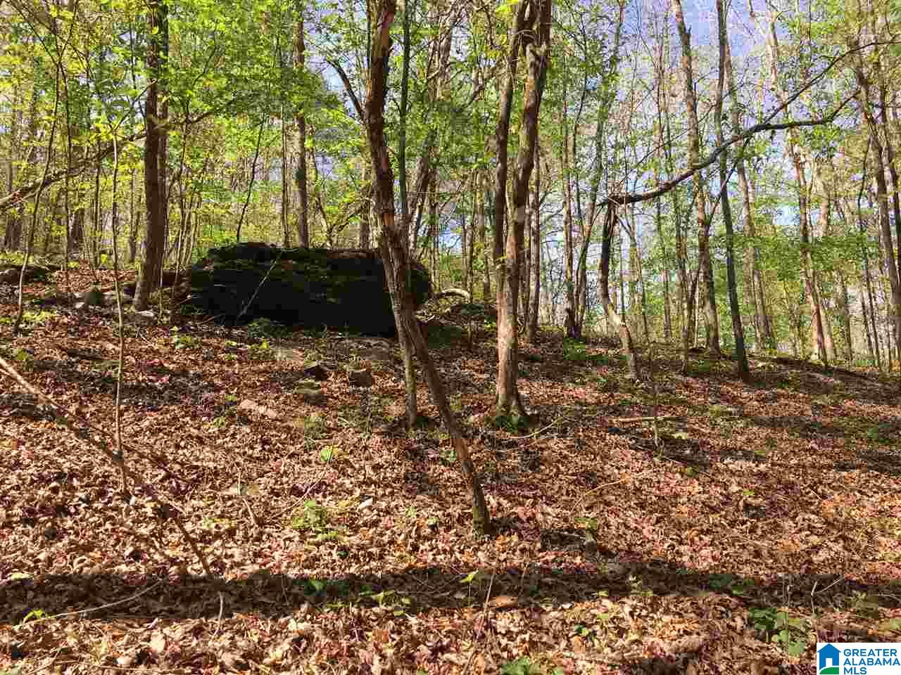 0 Isbell Road, Unit 40 Odenville, AL 35120 - Photo 9 of 13