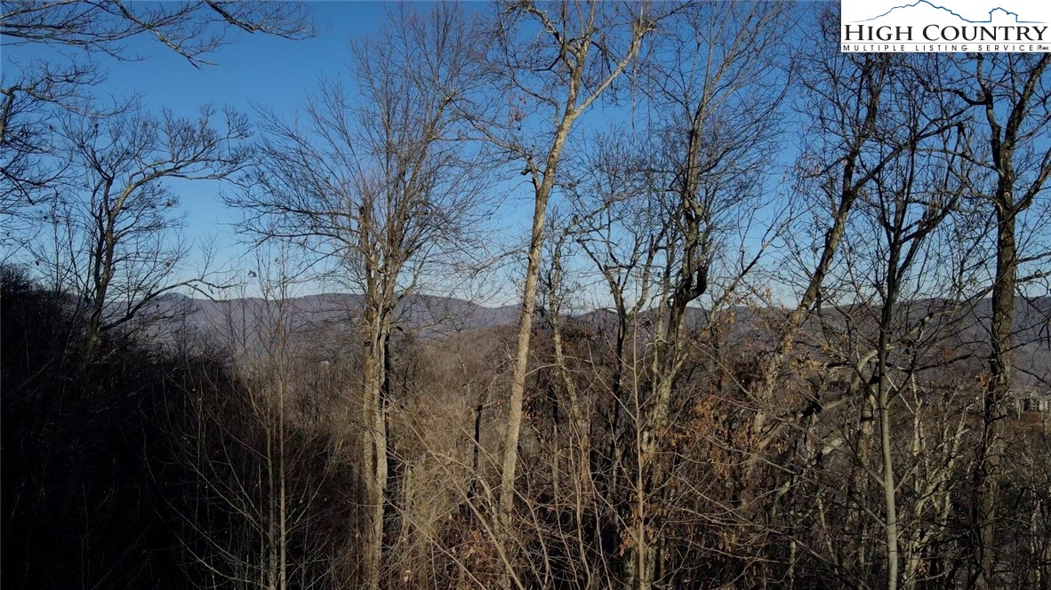 24 Nettles Ridge Road Banner Elk, NC 28604 - Photo 15 of 31 Gallery Image 15
