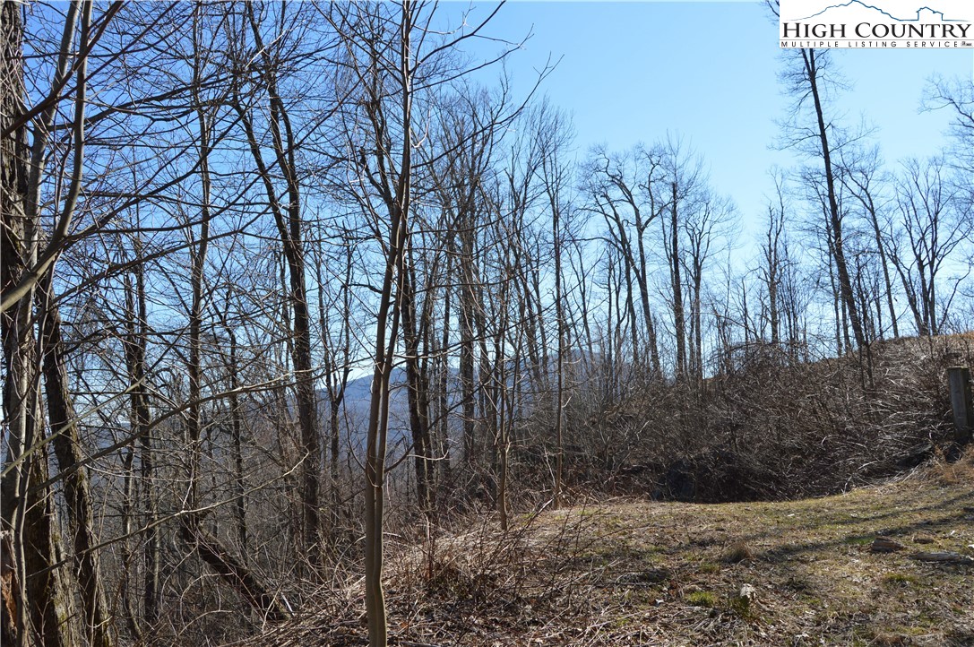 24 Nettles Ridge Road Banner Elk, NC 28604 - Photo 16 of 31 Gallery Image 16
