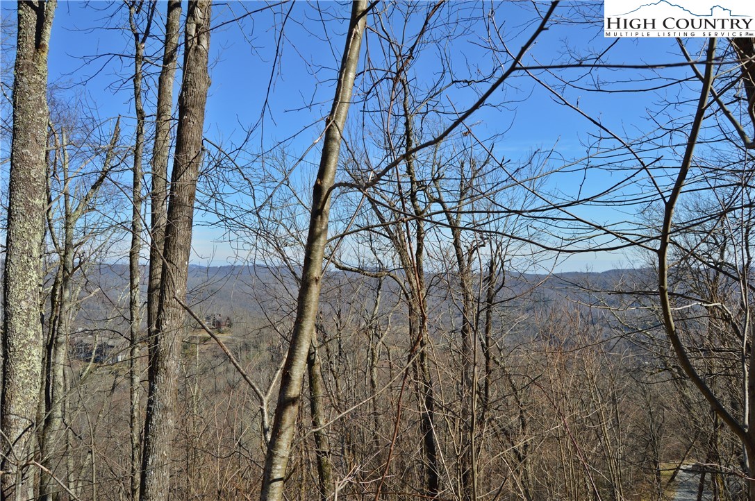 24 Nettles Ridge Road Banner Elk, NC 28604 - Photo 17 of 31 Gallery Image 17