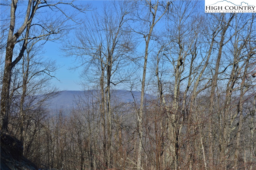24 Nettles Ridge Road Banner Elk, NC 28604 - Photo 18 of 31 Gallery Image 18