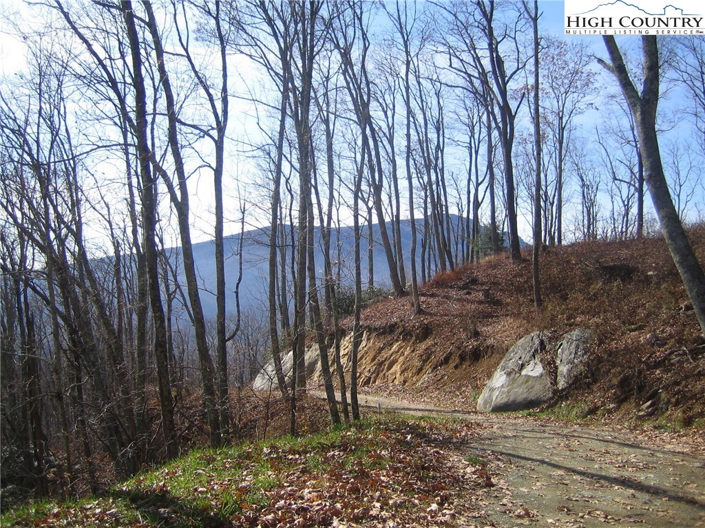 24 Nettles Ridge Road Banner Elk, NC 28604 - Photo 19 of 31 Gallery Image 19