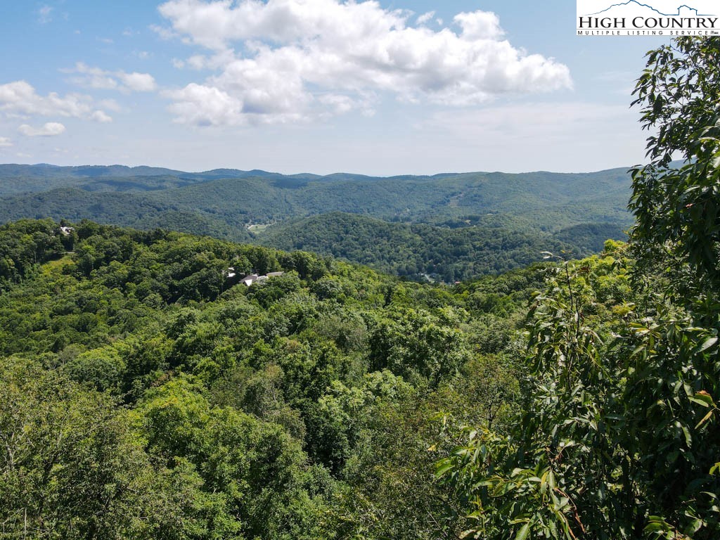 24 Nettles Ridge Road Banner Elk, NC 28604 - Photo 21 of 31 Gallery Image 21