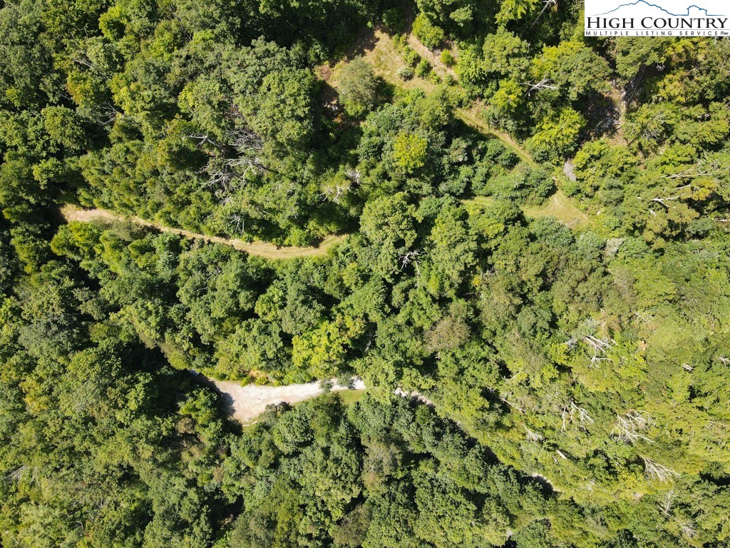 24 Nettles Ridge Road Banner Elk, NC 28604 - Photo 23 of 31 Gallery Image 23