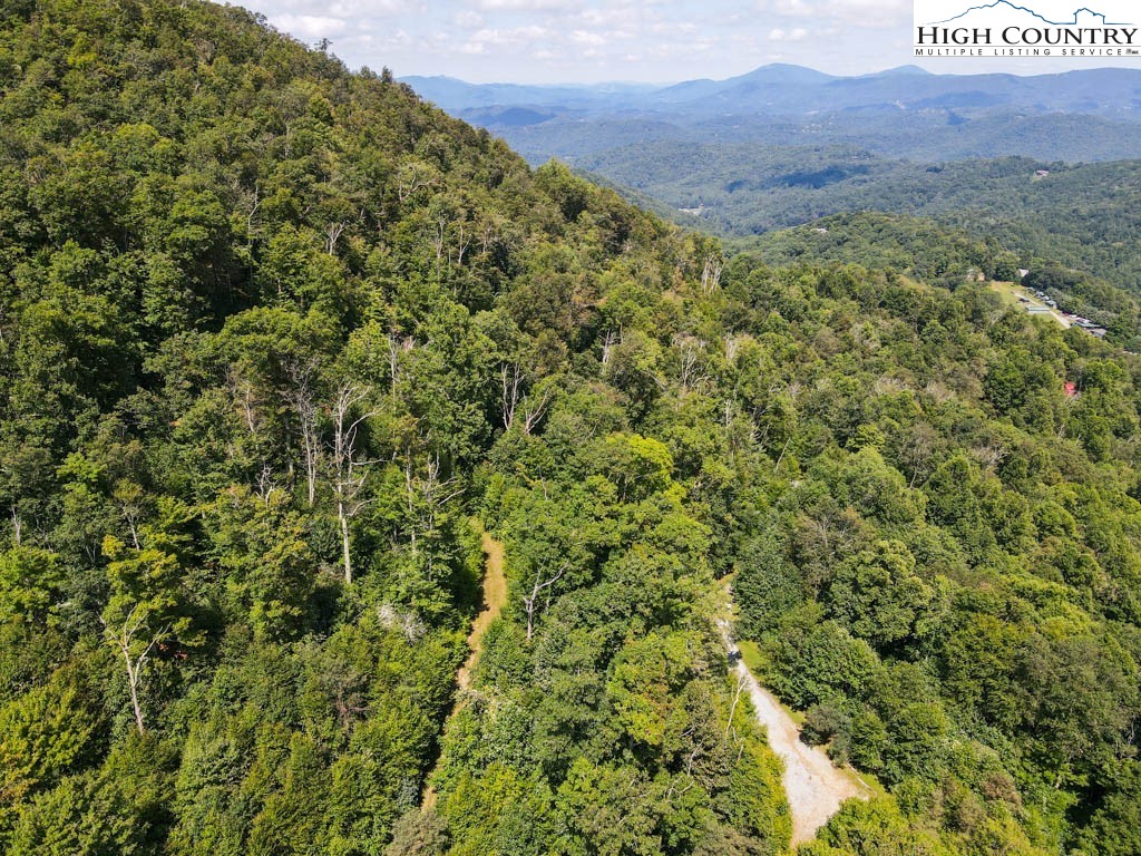 24 Nettles Ridge Road Banner Elk, NC 28604 - Photo 24 of 31 Gallery Image 24