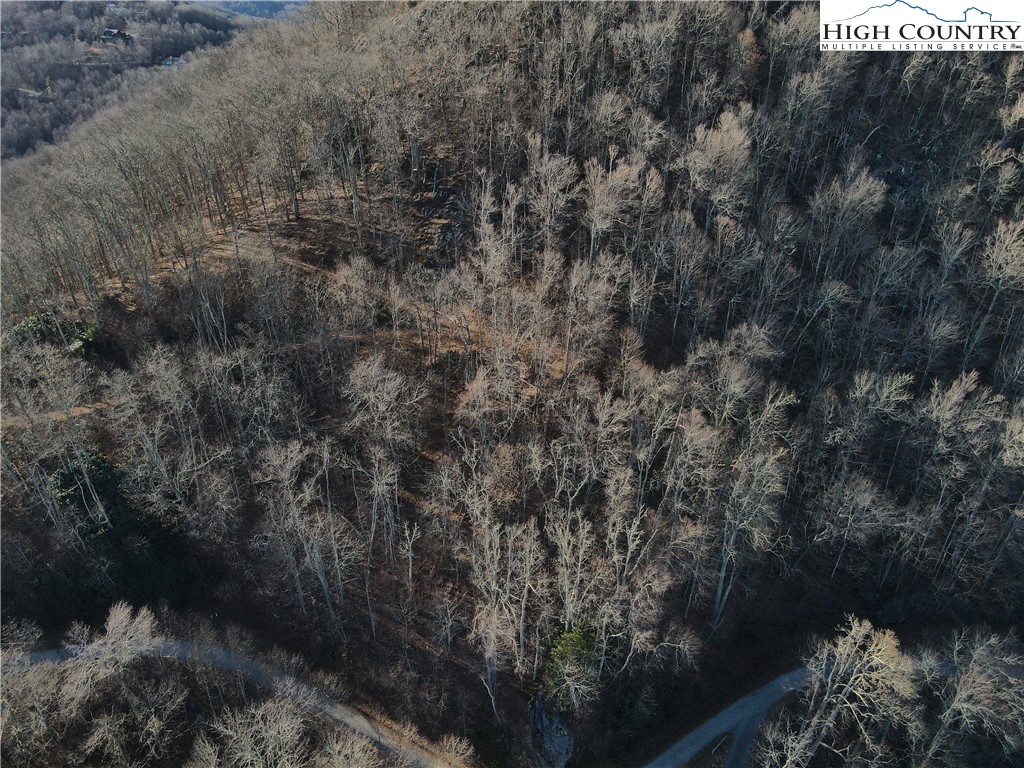 24 Nettles Ridge Road Banner Elk, NC 28604 - Photo 26 of 31 Gallery Image 26