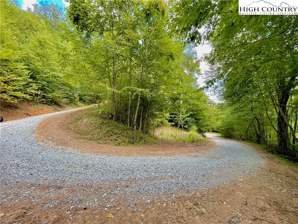 24 Nettles Ridge Road Banner Elk, NC 28604 - Photo 3 of 31 Gallery Image 3