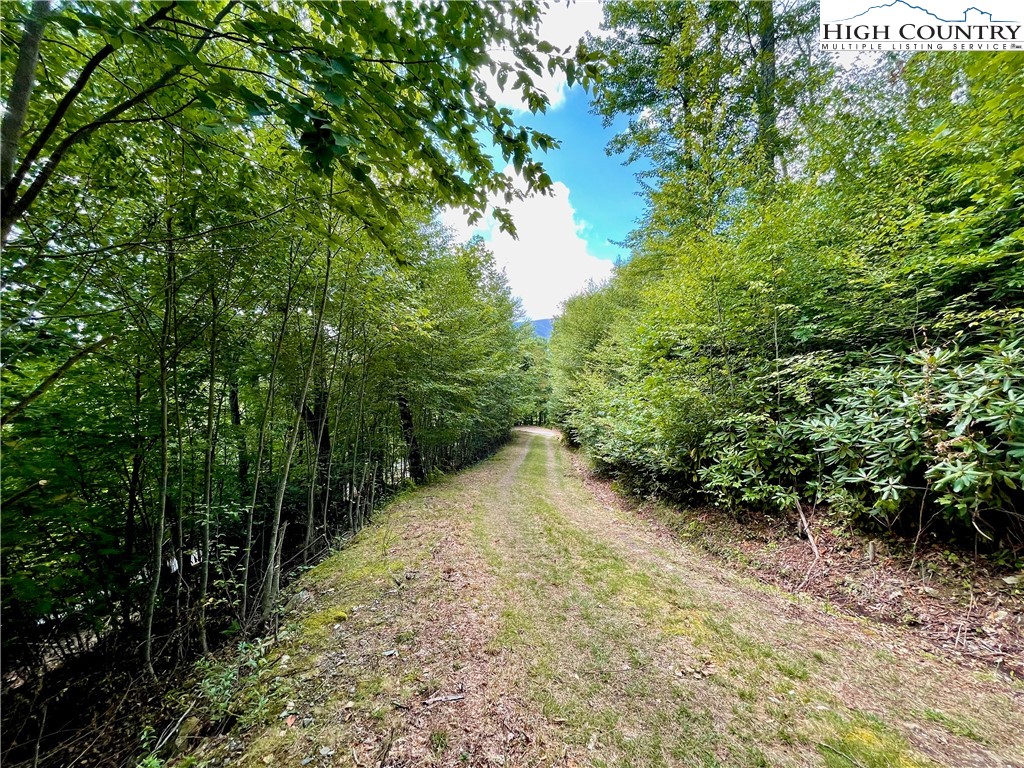 24 Nettles Ridge Road Banner Elk, NC 28604 - Photo 5 of 31 Gallery Image 5
