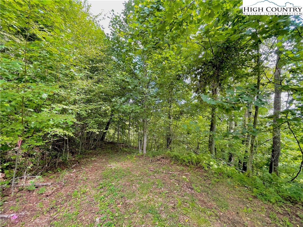 24 Nettles Ridge Road Banner Elk, NC 28604 - Photo 8 of 31 Gallery Image 8