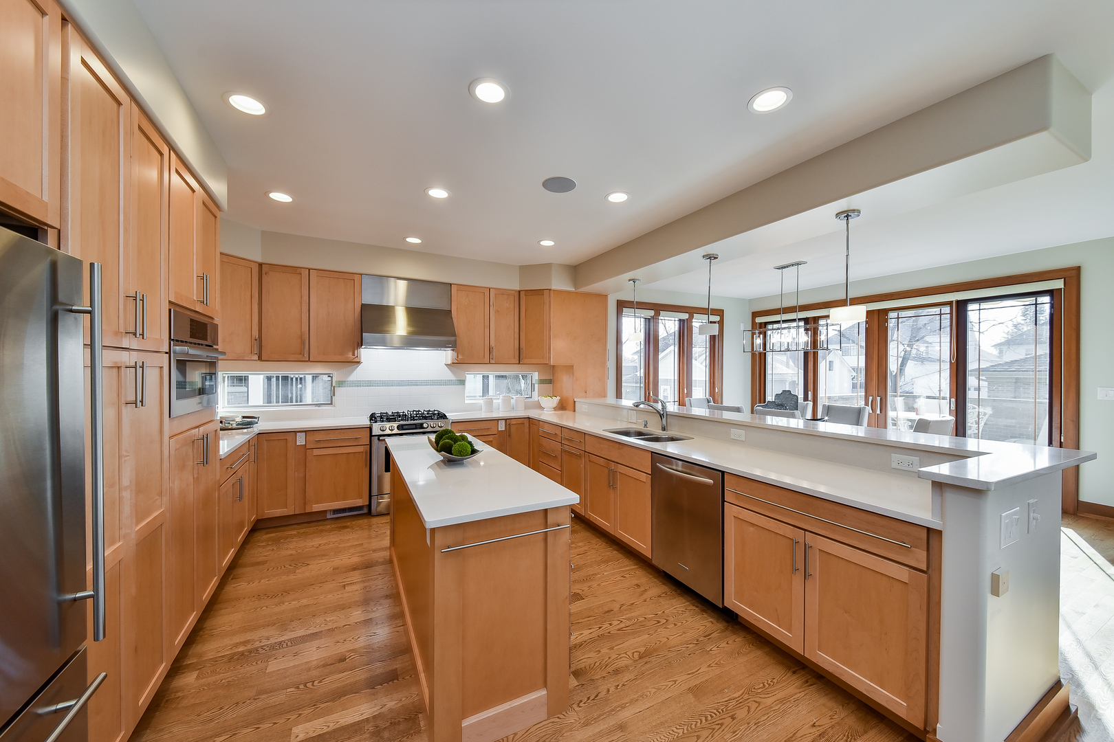 226 Spring Avenue Naperville, IL 60540 - Photo 3 of 46