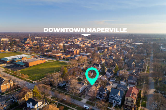 226 Spring Avenue Naperville, IL 60540 - Photo 44 of 46