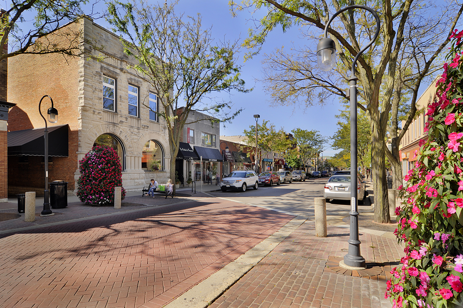 226 Spring Avenue Naperville, IL 60540 - Photo 46 of 46