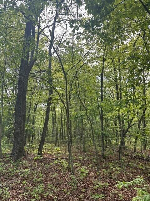 142 Cole Road Deer Lodge, TN 37726 - Photo 19 of 77 22