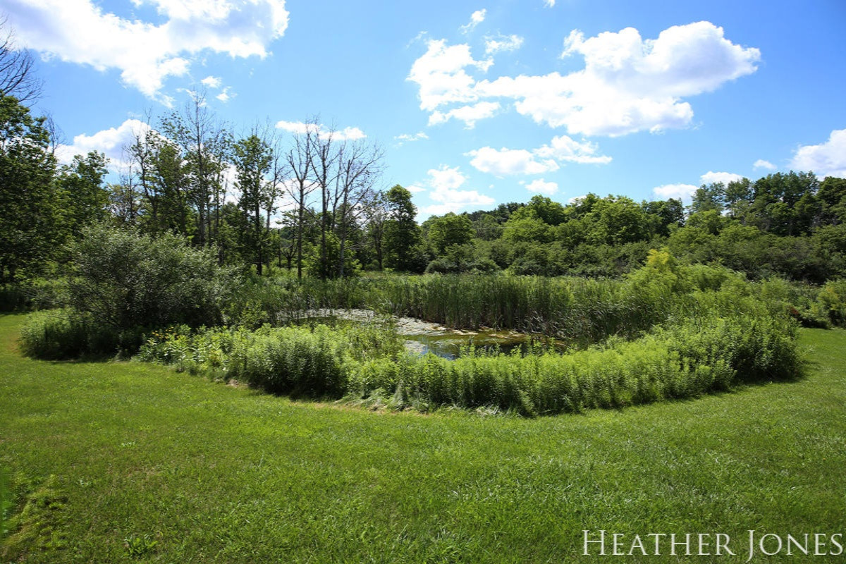 3532 Fleck Road Six Lakes, MI 48886 - Photo 23 of 29 IMG_3777